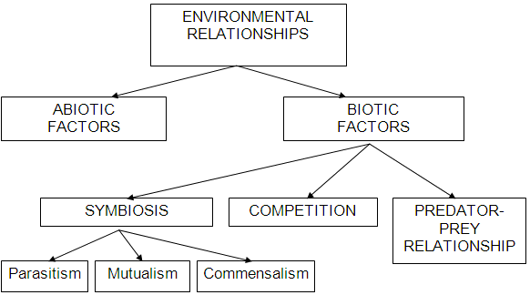 Environmental Relationships